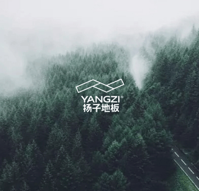 地板十大品牌：价值链重塑、用户关系进化与